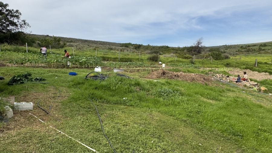 1 Bedroom Property for Sale in Darling Western Cape